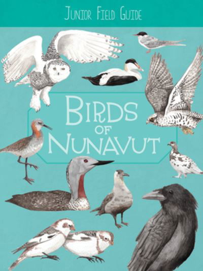 Junior Field Guide: Birds of Nunavut: English Edition - Junior Field Guides - Carolyn Mallory - Books - Inhabit Education Books Inc. - 9781774505625 - October 18, 2022