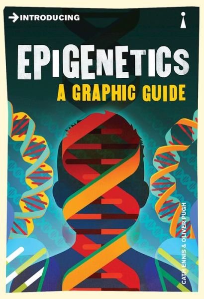 Introducing Epigenetics: A Graphic Guide - Graphic Guides - Cath Ennis - Livros - Icon Books - 9781848318625 - 2 de fevereiro de 2017