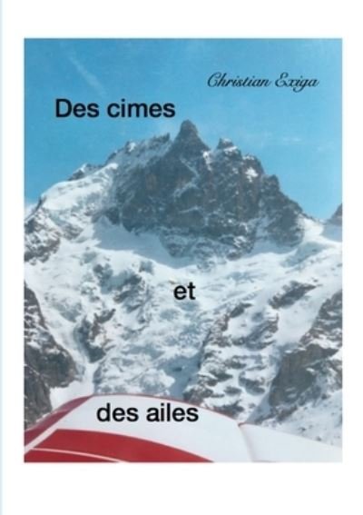 Cover for Exiga · Des cimes et des ailes (Book) (2020)
