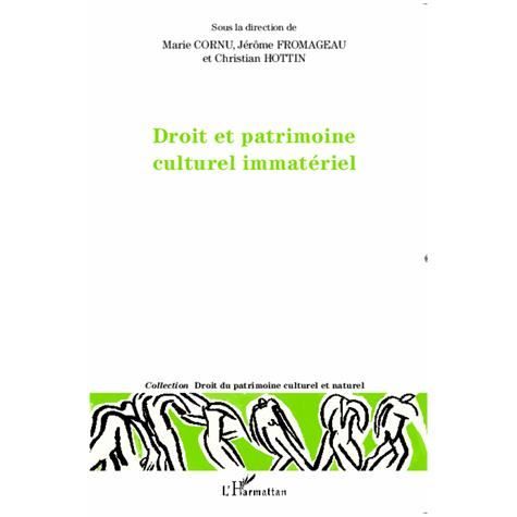 Cover for Rinatu Coti · Droit et patrimoine culturel immatériel (Paperback Book) (2020)