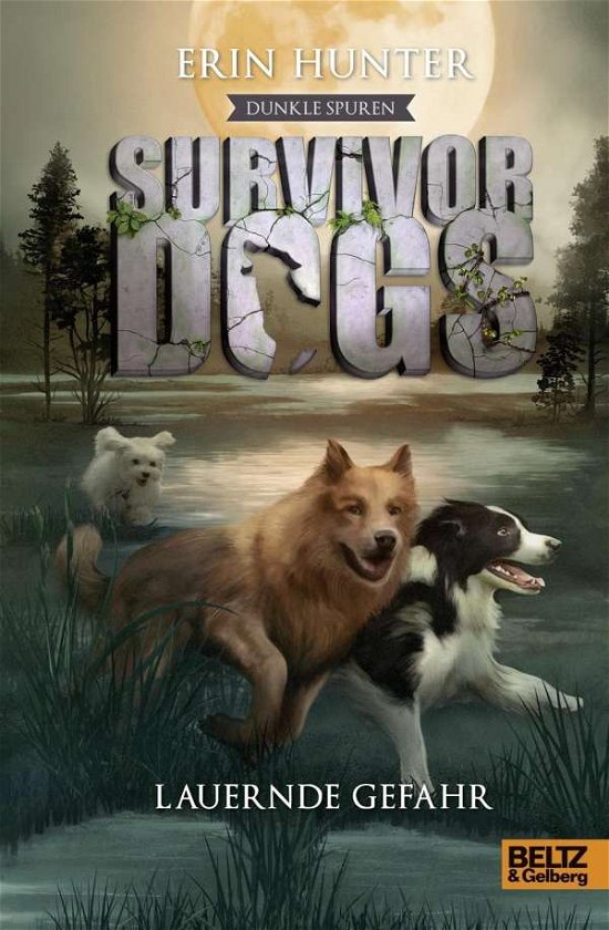 Cover for Hunter · Survivor Dogs,Dunkle Spuren.Laue (Buch)