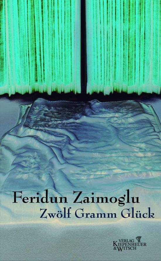 Cover for Feridun Zaimoglu · Zwölf Gramm Glück (Book)