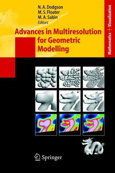 Cover for N Dodgson · Advances in Multiresolution for Geometric Modelling - Mathematics and Visualization (Hardcover Book) [2005 edition] (2004)