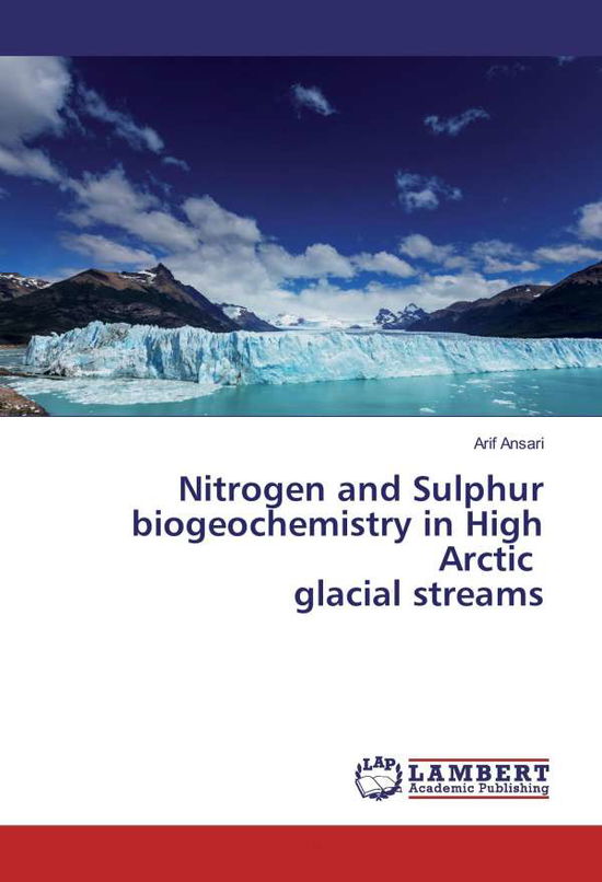 Cover for Ansari · Nitrogen and Sulphur biogeochemi (Book)