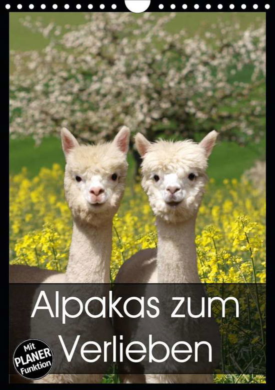 Cover for Rentschler · Alpakas zum Verlieben (Wandk (Book)