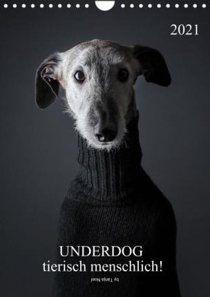 Cover for Noel · UNDERDOG - Windhundportraits (Wand (Bok)