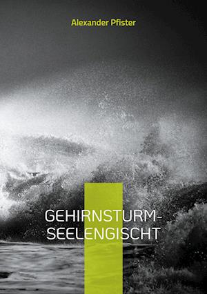 Cover for Alexander Pfister · Gehirnsturm (Book) (2024)