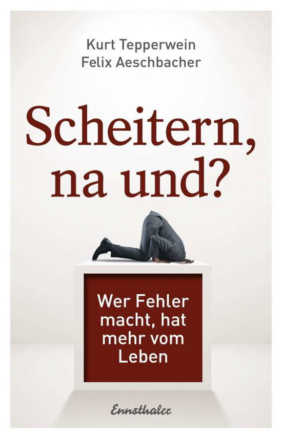 Cover for Tepperwein · Scheitern, na und? (Bog)