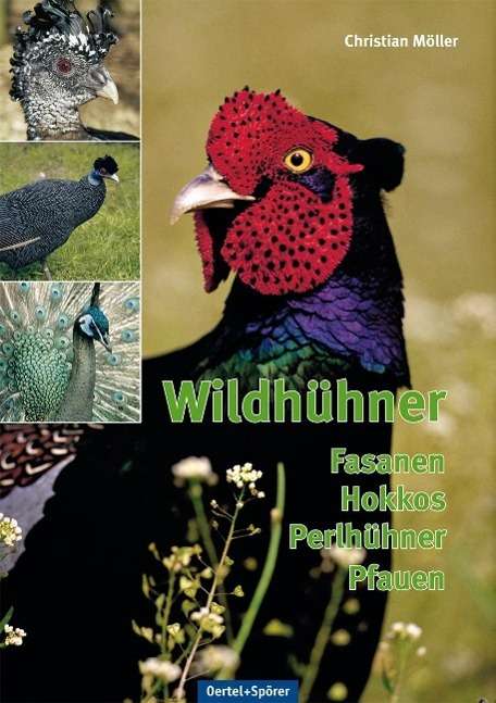 Cover for Möller · Wildhühner (Book)