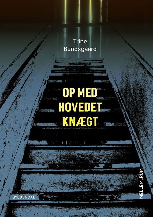 Mellem_rum: Mellem_rum. Op med Hovedet Knægt - Trine Bundsgaard - Bücher - Gyldendal - 9788702343625 - 8. September 2021