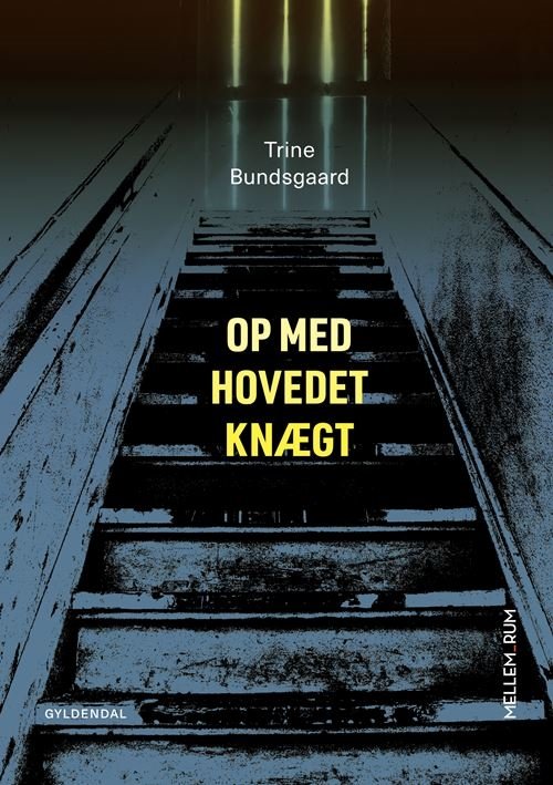 Mellem_rum: Mellem_rum. Op med Hovedet Knægt - Trine Bundsgaard - Böcker - Gyldendal - 9788702343625 - 8 september 2021