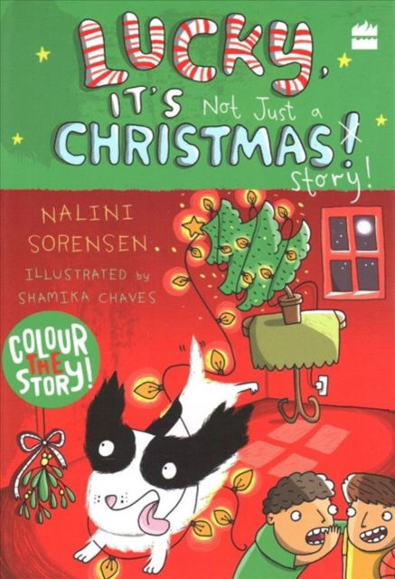 Cover for Nalini Sorensen · Lucky, It's Not Just a Christmas Story! (Paperback Book) (2019)