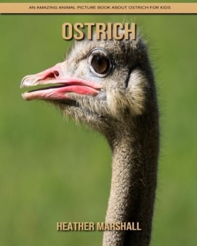 Cover for Heather Marshall · Ostrich: An Amazing Animal Picture Book about Ostrich for Kids (Pocketbok) (2021)