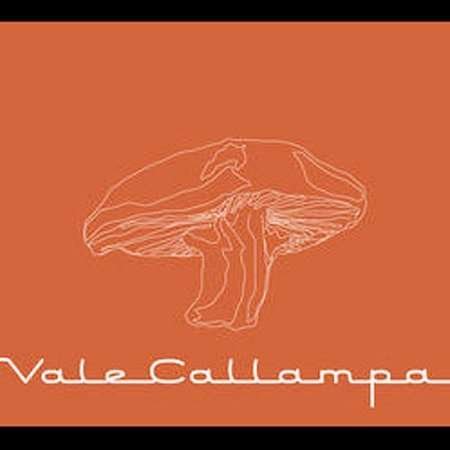 Cover for Cafe Tacuba · Vale Callampa (CD) [EP edition] [Digipak] (2000)