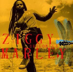 Dragonfly - Ziggy Marley - Música - SONY MUSIC ENTERTAINMENT - 0019341163626 - 15 de abril de 2003