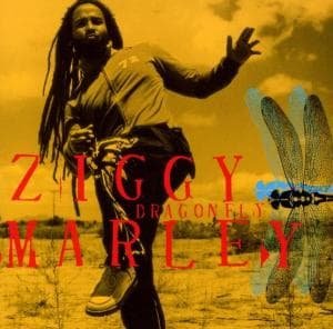 Cover for Ziggy Marley · Dragonfly (CD) (2003)