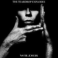 Cover for Teardrop Explodes · Wilder (CD)