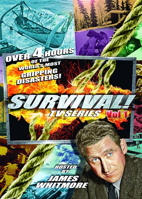 Survival! TV Series Collection Vol 1 - Feature Film - Film - VCI - 0089859881626 - 27 mars 2020