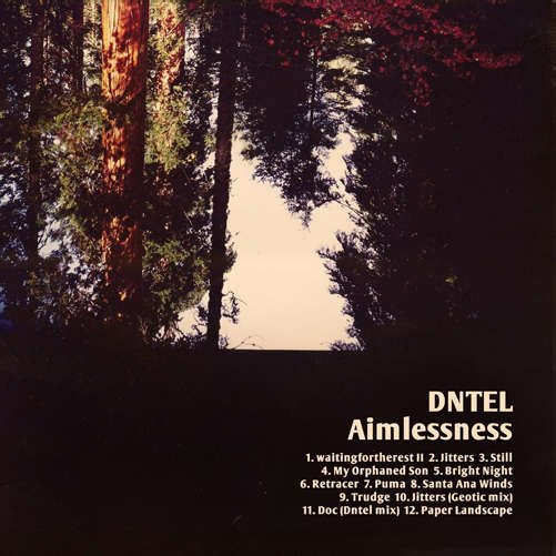 Cover for Dntel · Aimlessness (CD) (2012)