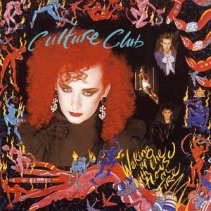 Waking Up with the House on Fire - Culture Club - Muziek - VIRGIN - 0724359240626 - 7 oktober 2003