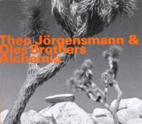 Alchemia - Theo Jorgensmann / Marcin Oles / Bartlomiej Brat Oles - Musik - HATHUT RECORDS - 0752156064626 - 7. april 2017
