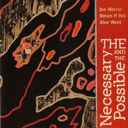 Cover for Joe^Fell, Simon^Ward, Alex Morris · The Necessary And Possib. (CD) (2009)