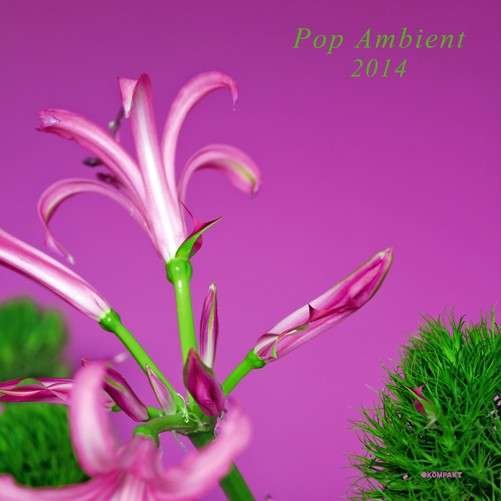 Cover for Pop Ambient 2014 / Various (CD) (2014)