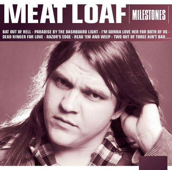 Milestones - Meat Loaf - Musique - SONY MUSIC - 0888430043626 - 13 décembre 2013