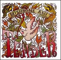Cover for Wishbone Ash · Tender (CD) (2008)