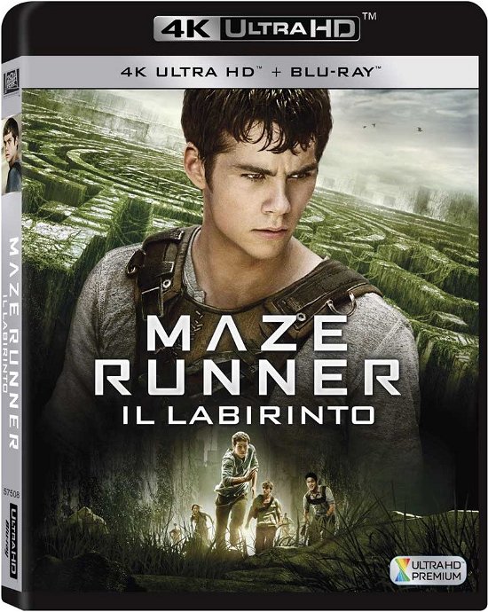 Cover for Maze Runner · Maze runner - Il labirinto (Blu-ray)