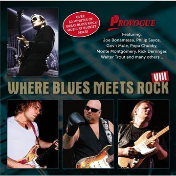 Where Blues Meets Rock 8 - V/A - Musik - PROVOGUE - 8712725725626 - 15. marts 2010