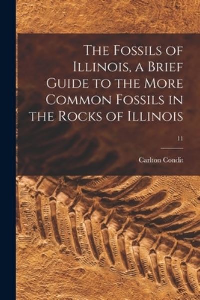 Cover for Carlton Condit · The Fossils of Illinois, a Brief Guide to the More Common Fossils in the Rocks of Illinois; 11 (Paperback Book) (2021)