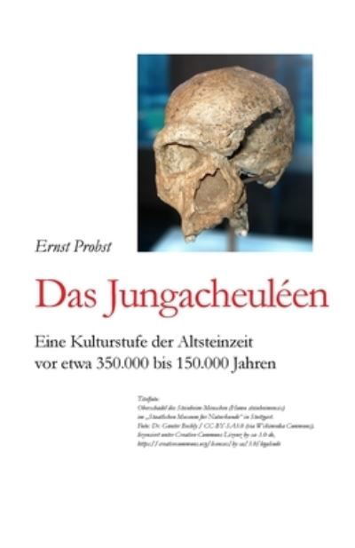 Cover for Ernst Probst · Das Jungacheuleen: Eine Kulturstufe der Altsteinzeit vor etwa 350.000 bis 150.000 Jahren - Bucher Von Ernst Probst UEber Die Steinzeit (Paperback Book) (2019)