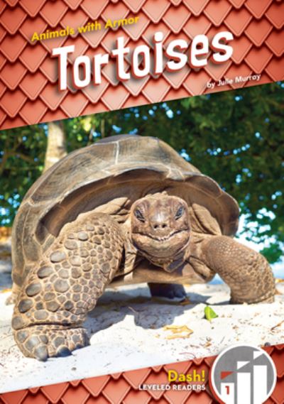 Cover for Julie Murray · Tortoises (Hardcover Book) (2021)