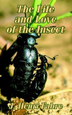 The Life and Love of the Insect - Jean-Henri Fabre - Books - University Press of the Pacific - 9781410206626 - June 10, 2003