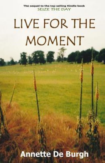 Cover for Annette De Burgh · Live For The Moment (Paperback Book) (2016)