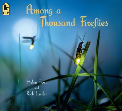 Cover for Helen Frost · Among a Thousand Fireflies (Paperback Book) (2019)