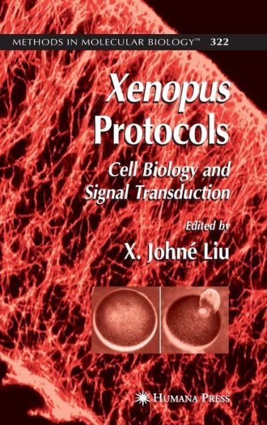 Cover for X Johne Lio · Xenopus Protocols: Cell Biology and Signal Transduction - Methods in Molecular Biology (Gebundenes Buch) [2006 edition] (2005)