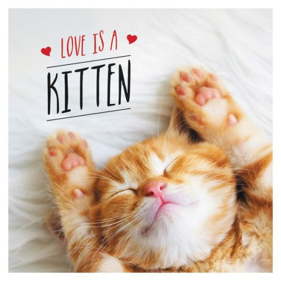 Cover for Charlie Ellis · Love is a Kitten: A Cat-Tastic Celebration of the World's Cutest Kittens (Hardcover Book) (2020)