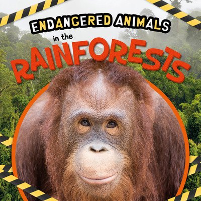 Cover for Emilie Dufresne · In the Rainforests - Endangered Animals (Hardcover Book) (2020)