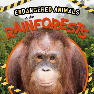 In the Rainforests - Endangered Animals - Emilie Dufresne - Böcker - BookLife Publishing - 9781839274626 - 1 december 2020