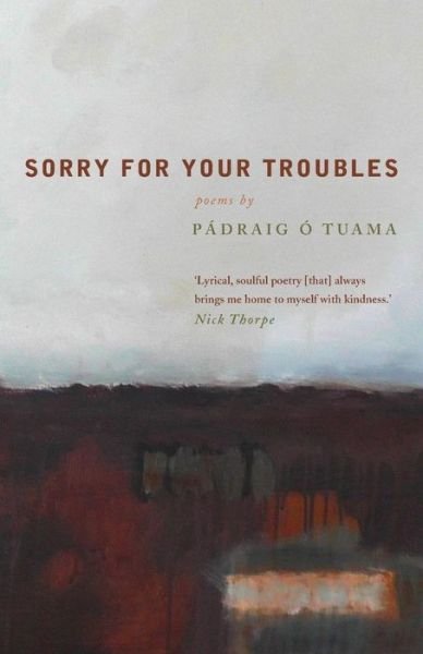 Cover for Padraig O Tuama · Sorry For Your Troubles (Paperback Bog) (2013)