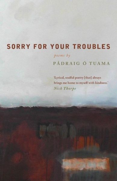 Sorry For Your Troubles - Padraig O Tuama - Books - Canterbury Press Norwich - 9781848254626 - July 26, 2013