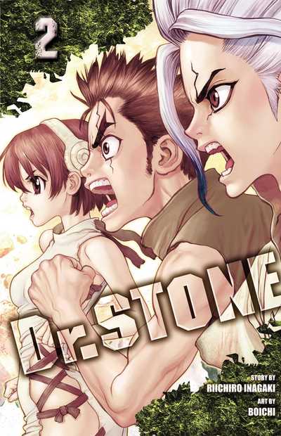 Cover for Riichiro Inagaki · Dr. STONE, Vol. 2 - Dr. STONE (Paperback Bog) (2018)