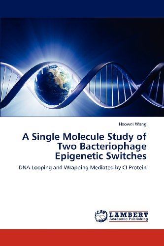 A Single Molecule Study of Two Bacteriophage Epigenetic Switches: Dna Looping and Wrapping Mediated by Ci Protein - Haowei Wang - Livros - LAP LAMBERT Academic Publishing - 9783659117626 - 10 de maio de 2012