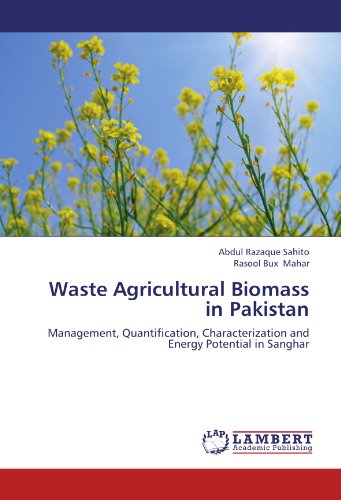 Cover for Rasool Bux Mahar · Waste Agricultural Biomass in Pakistan: Management, Quantification, Characterization and Energy Potential in Sanghar (Paperback Book) (2012)