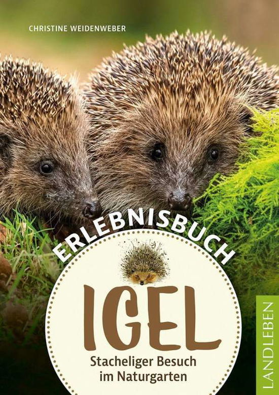 Cover for Christine Weidenweber · Erlebnisbuch Igel (Taschenbuch) (2021)