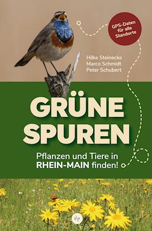 Cover for Hilke Steinecke · Grüne Spuren (Bok) (2024)