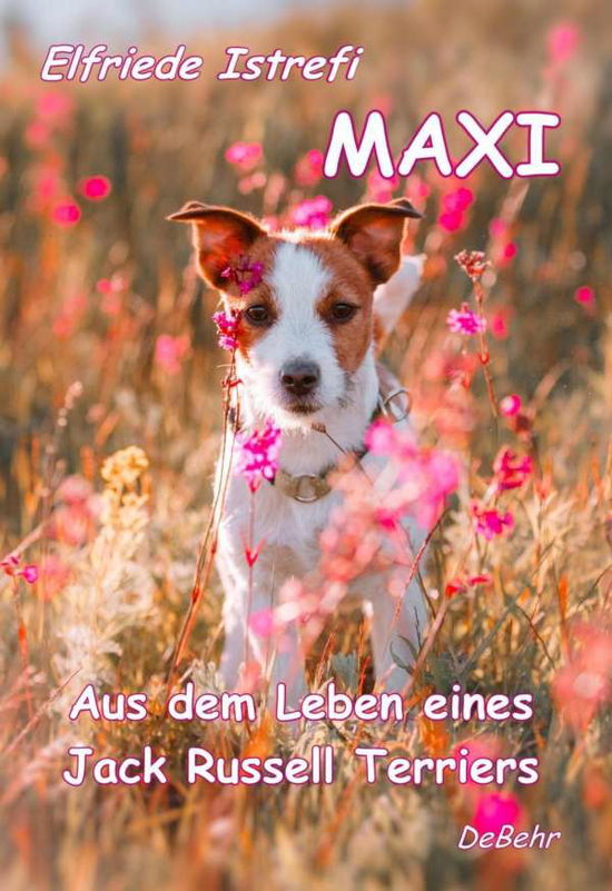 Cover for Istrefi · Maxi - Aus dem Leben eines Jack (Bog)