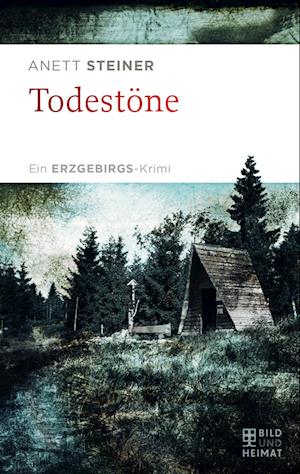 Cover for Anett Steiner · Todestöne (Book) (2023)